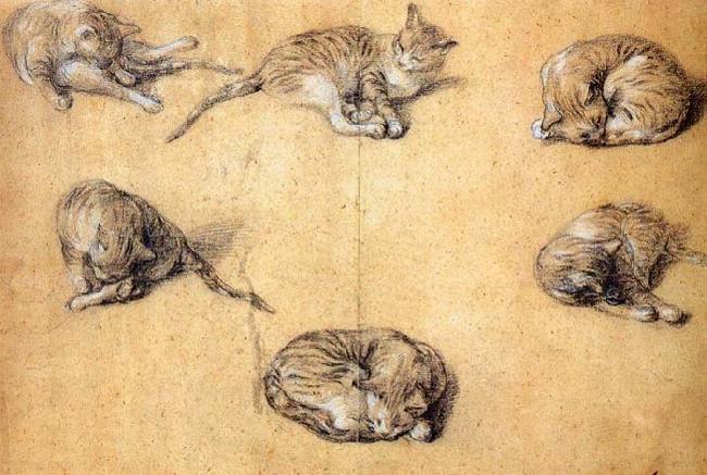 GAINSBOROUGH, Thomas Six studies of a cat oil painting picture